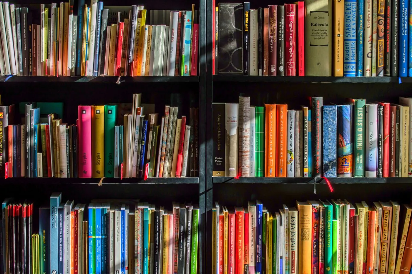 Books arranged on library shelves